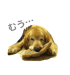 mydoglove（個別スタンプ：4）