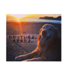 mydoglove（個別スタンプ：7）