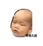 shrimp roll baby（個別スタンプ：1）