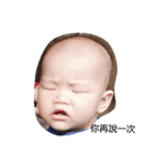 shrimp roll baby（個別スタンプ：2）