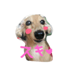 はなちさん（個別スタンプ：2）