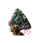 はなちさん（個別スタンプ：6）
