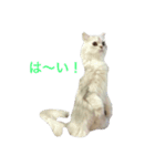 レナ姫（個別スタンプ：7）