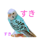 セキセイインコマリンの1日（個別スタンプ：2）