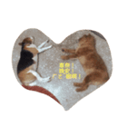 lolly＆miloo 3（個別スタンプ：5）