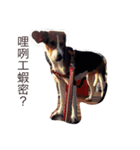 lolly＆miloo 3（個別スタンプ：11）