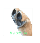 マーキス＆華（個別スタンプ：3）