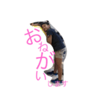 wahisia（個別スタンプ：8）