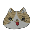 いぬとねこねこ（個別スタンプ：7）