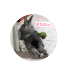 ぷーくん（個別スタンプ：5）