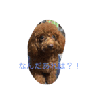 ここあちゃんの日常2（個別スタンプ：3）