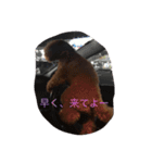 ここあちゃんの日常2（個別スタンプ：6）