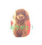 ここあちゃんの日常2（個別スタンプ：8）