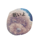 ここあちゃんの日常2（個別スタンプ：16）