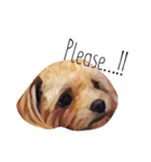 子犬のルーク（個別スタンプ：3）