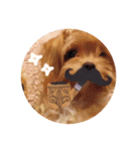 子犬のルーク（個別スタンプ：8）