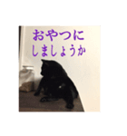 黒猫の玄くん（個別スタンプ：2）