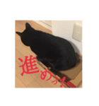 黒猫の玄くん（個別スタンプ：4）
