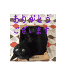 黒猫の玄くん（個別スタンプ：5）