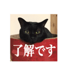 黒猫の玄くん（個別スタンプ：6）