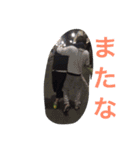 たけぞう1（個別スタンプ：6）
