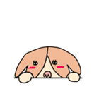りゅうのす犬（個別スタンプ：4）