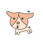 りゅうのす犬（個別スタンプ：10）