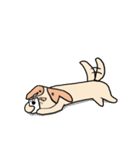 りゅうのす犬（個別スタンプ：22）