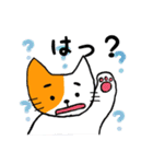 猫の日常と遊び。（個別スタンプ：8）