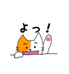 猫の日常と遊び。（個別スタンプ：11）