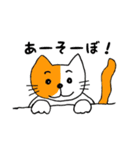 猫の日常と遊び。（個別スタンプ：19）