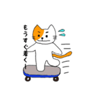 猫の日常と遊び。（個別スタンプ：21）