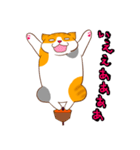 のんびり猫さきさん（個別スタンプ：8）