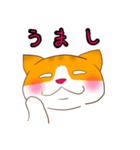 のんびり猫さきさん（個別スタンプ：13）