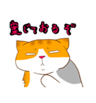 のんびり猫さきさん（個別スタンプ：15）