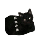 黒猫ランちゃんフィーバー（個別スタンプ：2）