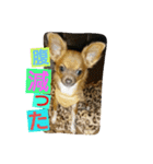 chikuwa2（個別スタンプ：8）