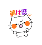 White kitten MOFUMOFU - Taiwan ver（個別スタンプ：38）