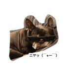 ベティ（個別スタンプ：3）