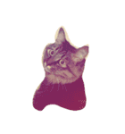 我が家のCat（個別スタンプ：6）