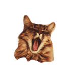 我が家のCat（個別スタンプ：8）