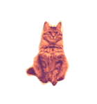 我が家のCat（個別スタンプ：12）
