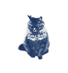 我が家のCat（個別スタンプ：15）