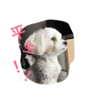 mocotomoyo（個別スタンプ：2）