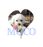 mocotomoyo（個別スタンプ：4）
