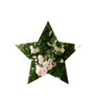 幸せな花々（個別スタンプ：2）