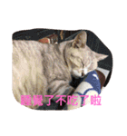 Eat eat eat la（個別スタンプ：29）