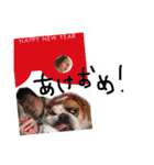 buruchanh（個別スタンプ：8）