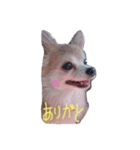kiuyki2（個別スタンプ：1）