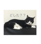 たびスタンプ（個別スタンプ：1）